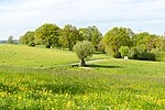 LSG Egge-Gebiet und Lipper Bergland mit Bielefelder Osning, Paderborner Hochfläche und Hellwegbörden