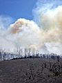 Incendio en Cualedro