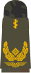 Generalarzt (hum.)