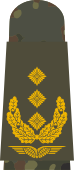 LA OS5 63 Generalleutnant.svg