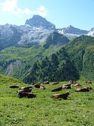 La punta Percée vista desde el col des Annes (1721 m)