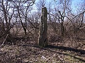 Menhir bei Latdorf