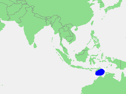 Timorzee