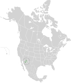 Madrean Sky Islands Montane Forests map.svg