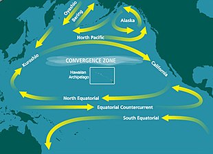 Карта, показывающая крупномасштабные круговые движения воды в Тихом океане. Один круг на запад в Австралию, затем на юг и обратно в Латинскую Америку. Дальше на север вода движется на восток в Центральную Америку, а затем присоединяется к большему движению дальше на север, которое петляет на юг, запад, север и восток между Северной Америкой и Японией. Две меньшие петли окружают восточную и центральную часть северной части Тихого океана.