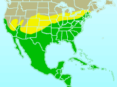 Distribución: Verde: todo el año Amarillo: estival