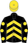 Black, yellow chevrons, spots on sleeves, yellow cap