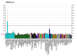 PBB GE RAD51 205023 at fs.png