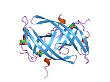 PDB 1v1q EBI.jpg