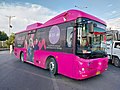 Image 42Peoples Bus Service (Pink) (from Karachi)