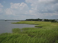 View from the old Pitt Street Bridge in Old Village Pitt street bridge in old village.jpg