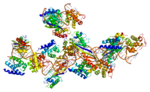 Miniatura para Proteína de unión a TATA