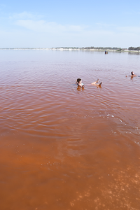 Pamandangan danau retba. Babarapo pangunjuang danau sadang barang di dalam danau nan aia nyo bawarna merah jambu.