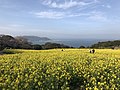 2018年3月29日 (木) 17:44時点における版のサムネイル