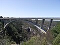 Miniatura para Puente Paul Sauer