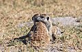 Makgadikgadi Pan, Botsvana