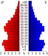 Bevolkingspiramide Ellis County