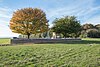 Upton Wood Cemetery