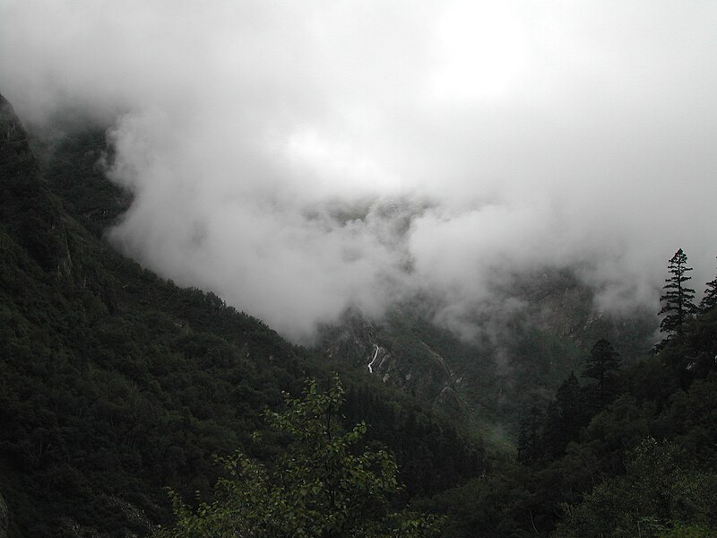 File:Valley of flowers.jpeg