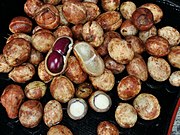 Bambara-Erdnuss oder die ähnliche Erdbohne