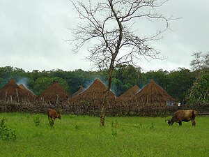 Villaggio nella savana - Bula - Guinea-Bissau