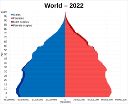 World population pyramid 2022.svg