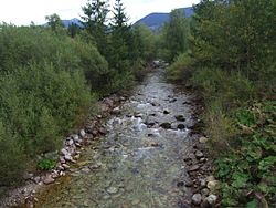 Studený potok u obce Zuberec