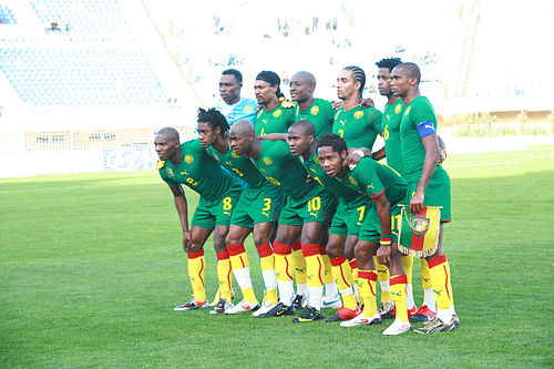 Reprezentacija Kameruna (2009 godina)
