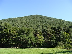 Forested triangular mountain