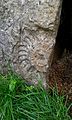 The impression of an ammonite at the entrance to the barrow