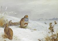 Patrijzen en een haas (1892), Archibald Thorburn