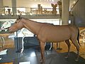 古墳時代の馬の復元模型