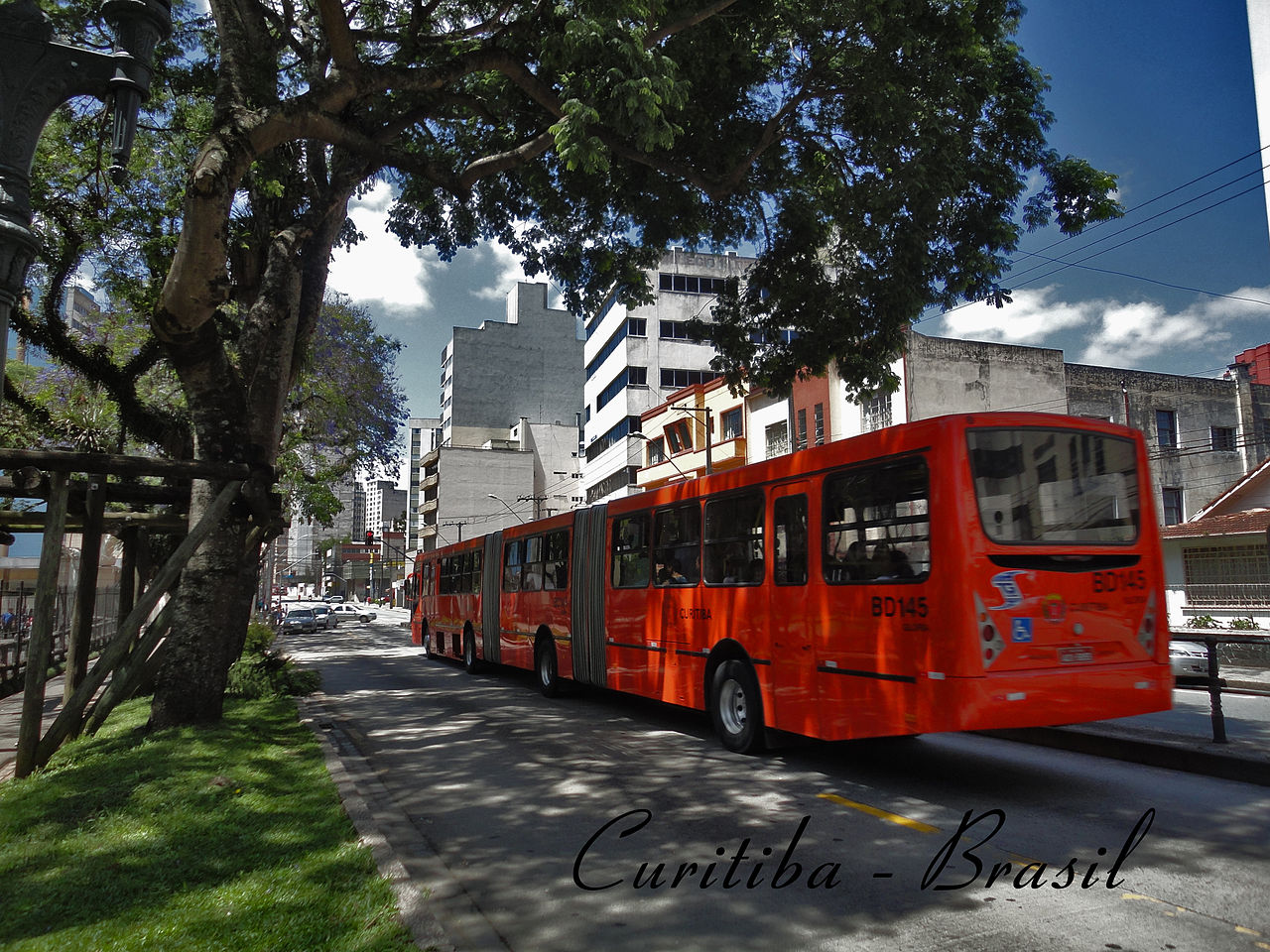 biarticulado curitiba