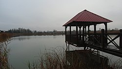 Lahodivsky pond