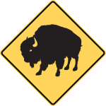 Bison area.