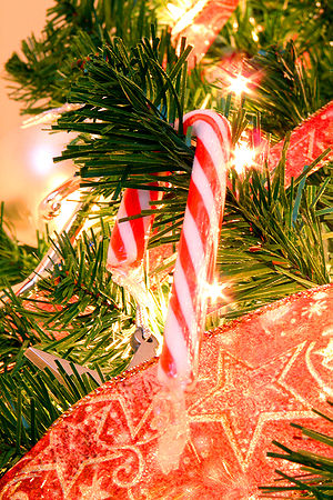 A candy cane hanging on a Christmas tree