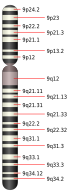 Хромозома 9.svg