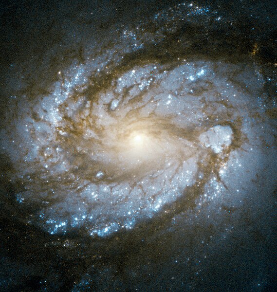 Core of Messier 100, by ESA/Hubble & NASA