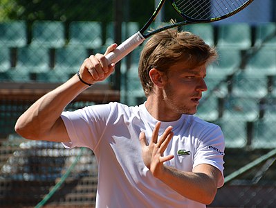 David Goffin, 2015