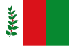 Flag of San José de Albán