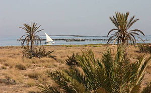 Die Kerkenna-Inseln sind eine echte Alternative zum touristisch geprägten Djerba.