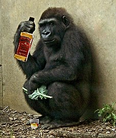 GorillaBourbon.jpg