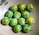 Greengages.jpg