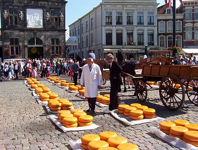 Cheese On The Cambridge Diet Malaysia