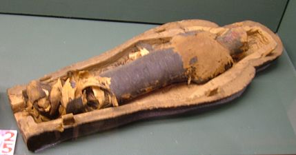 Mummified sacred figurine placed in its coffin (Rosicrusian Museum of San José).