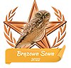 Brązowa Sowa za uzyskanie przynajmniej 50 punktów w klasyfikacji punktowej podczas Miesiąca Wyróżnionego Artykułu 2022 od Openbk.