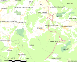 Mapa obce Saleich