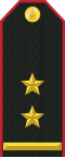 Mongolian Army-LTC-service