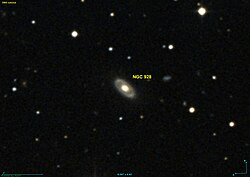 NGC 928