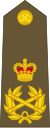 New Zealand-Army-OF-10.svg